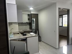 The Florence Residences (D19), Apartment #595211101
